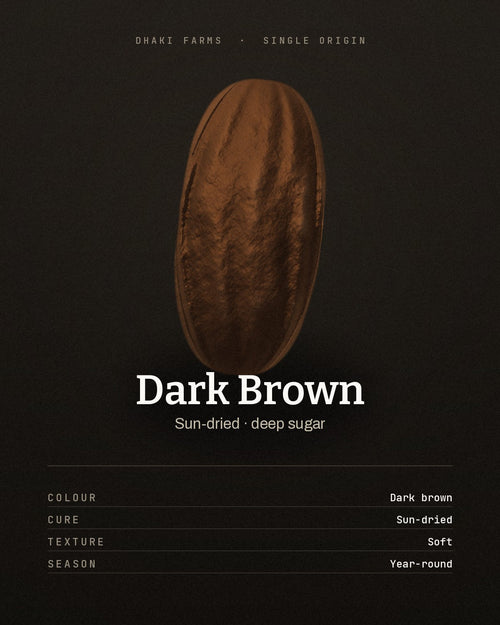 A single dark brown sun-dried date, soft and deeply coloured