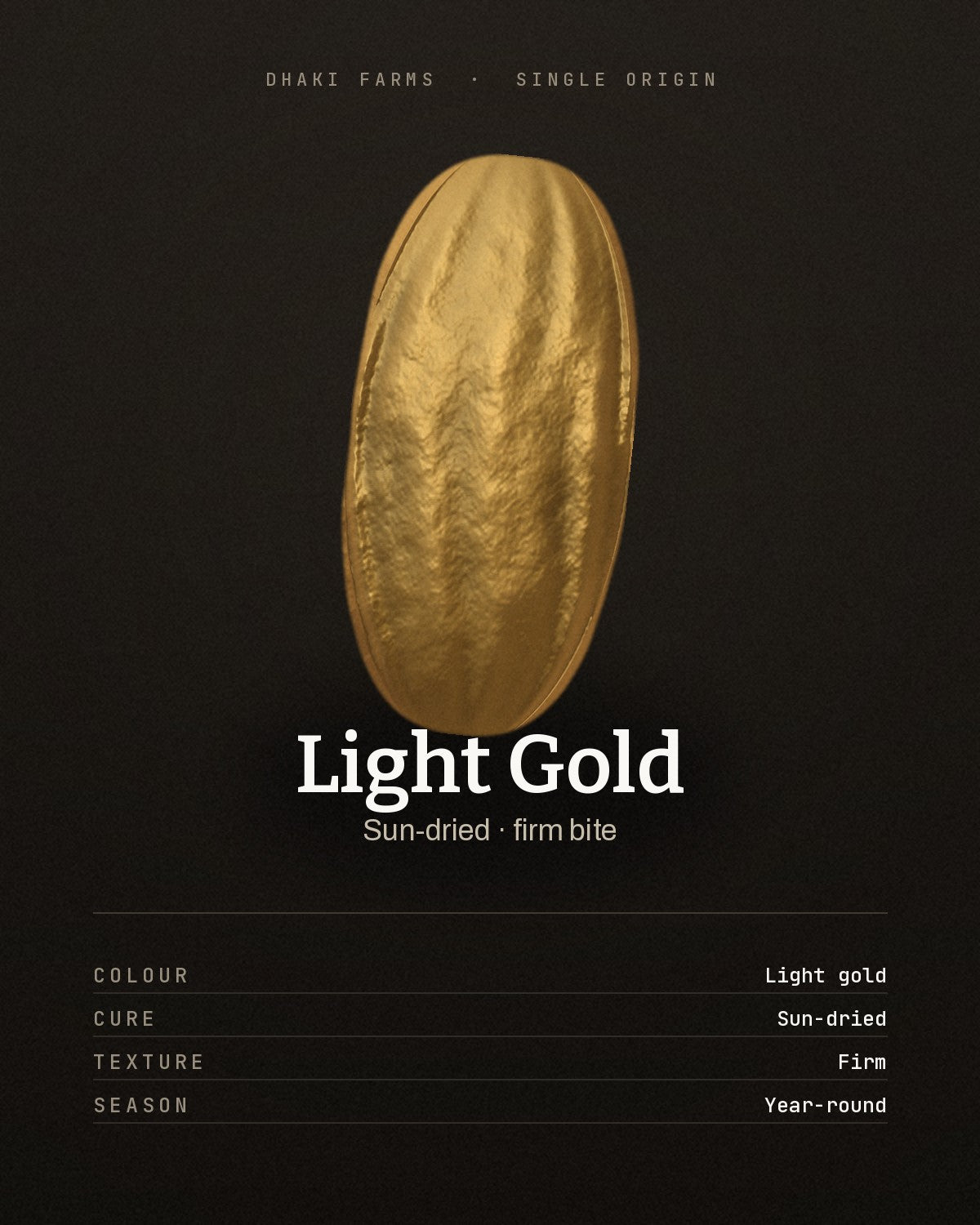 A single light gold sun-dried date with a firm, wrinkled skin